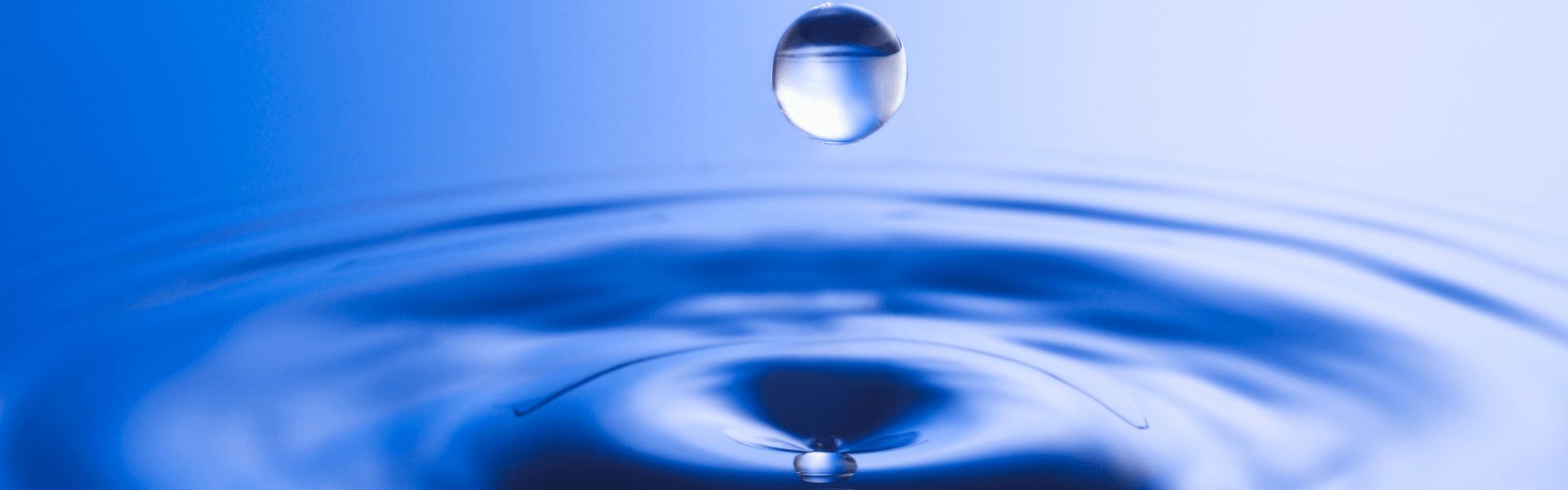 SCUP North Central Regional Conference 2021 - Make an Impact