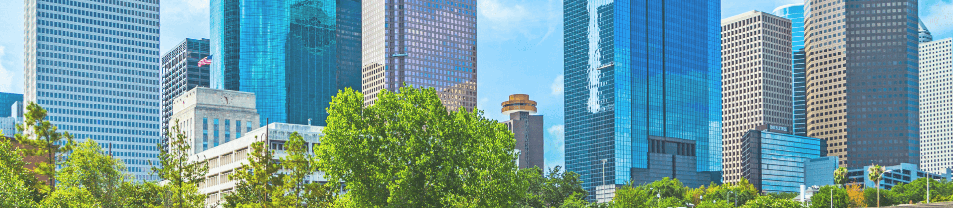 Southern Regional Conference in Houston, TX