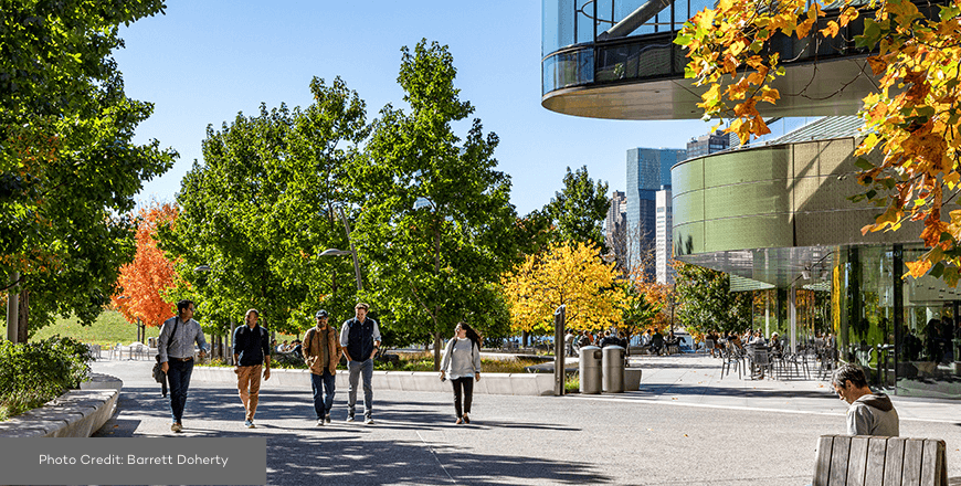 Cornell University image - 