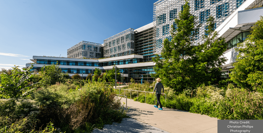 Harvard University image -