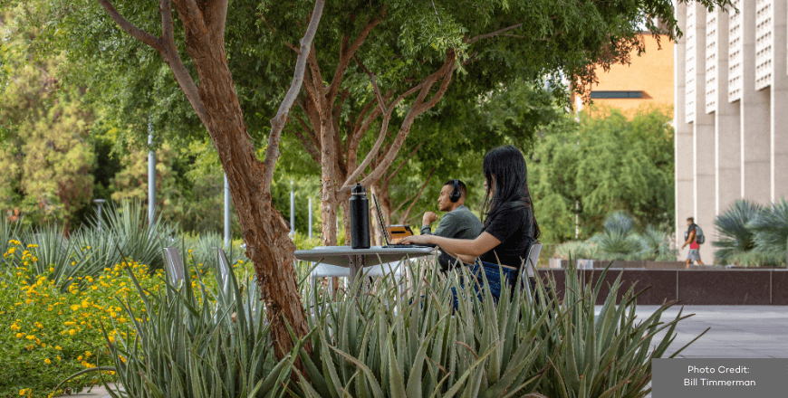 Arizona State University - Arizona State University Hayden Library Reinvention